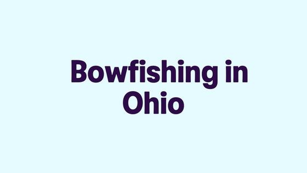 Is Bow Fishing Legal in Ohio