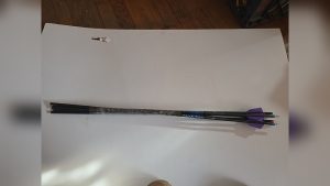 Is Duel Spine Arrows Good? Pros, Cons, and Expert Analysis