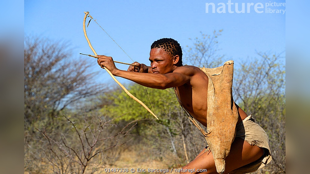 What is Archery Traditional San Bow And Arrow