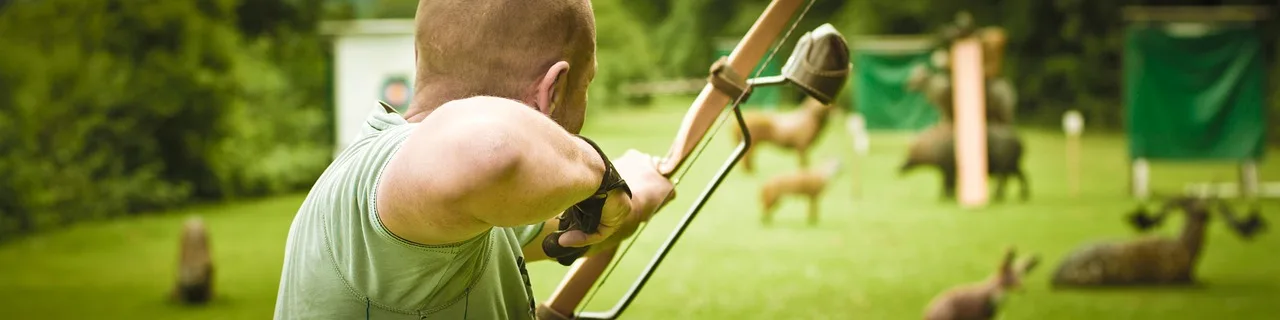 Recurve bow: best for simple learning