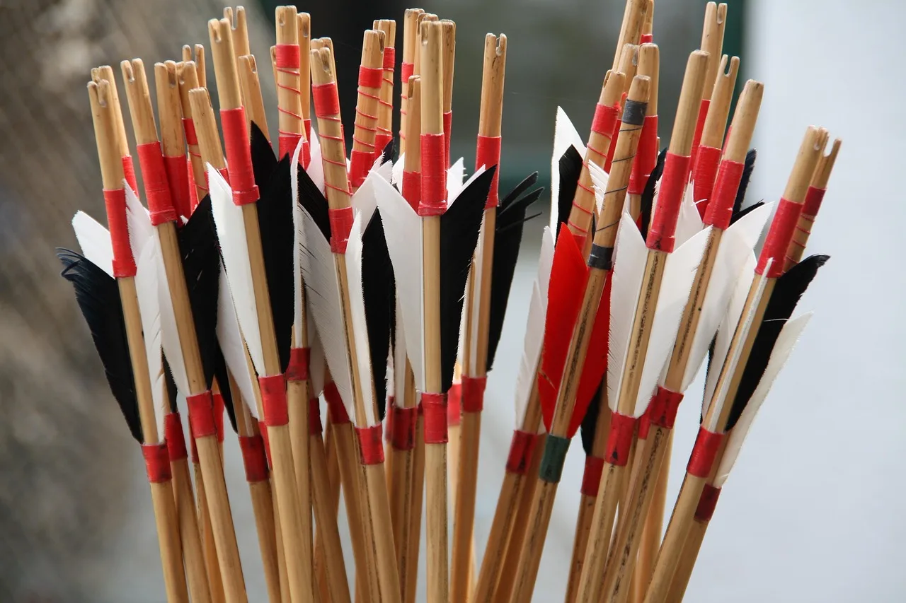 Compound bow quiver: best for organized arrow carry