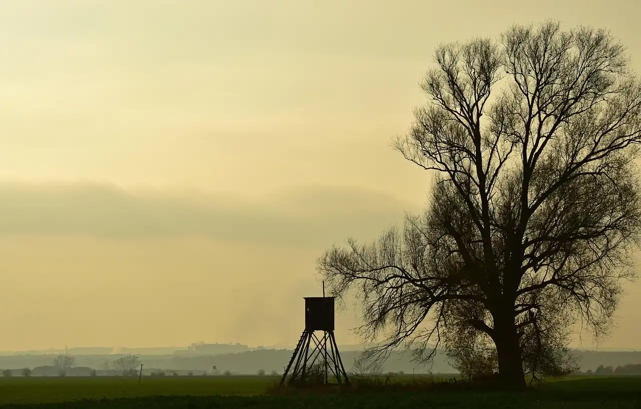 What should you wear for a tree stand hunt?
