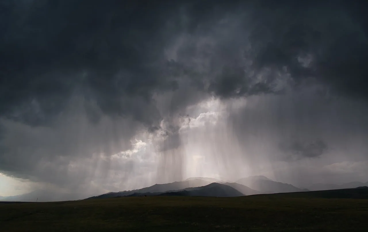 Is light rain good for bow hunting?