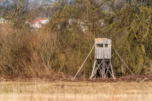 Best Woods for Target Stands (2026): based on specs and reviews