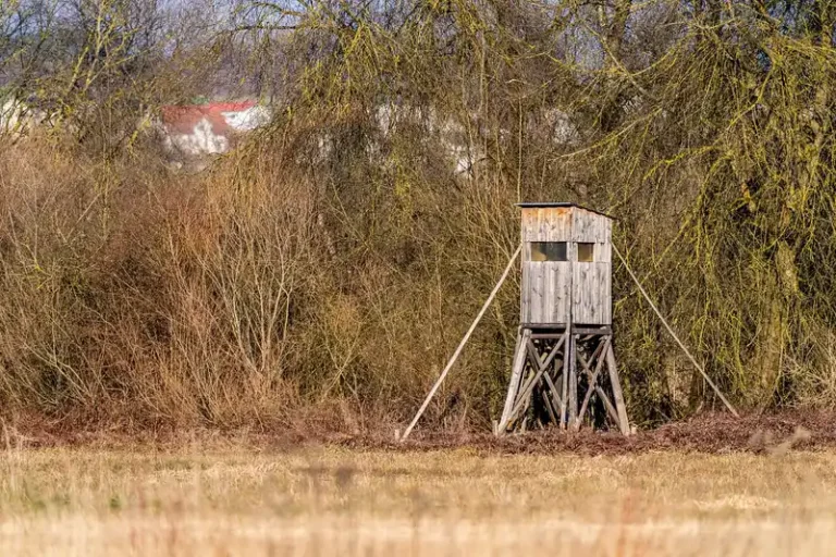 DIY archery target stand made from lumber with braces and a target bag outdoors