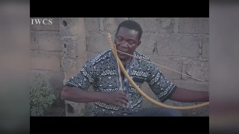 How is a Traditional Musical Bow Played