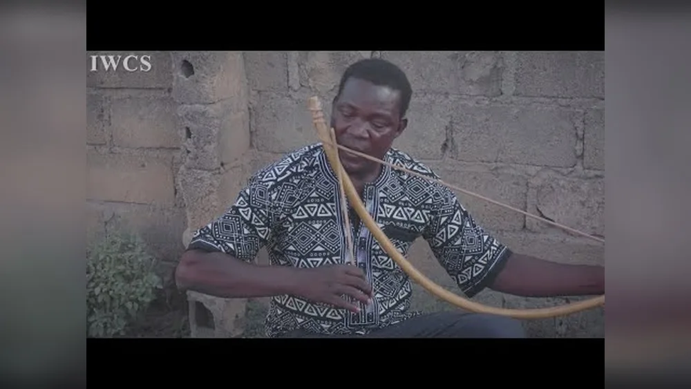 How is a Traditional Musical Bow Played