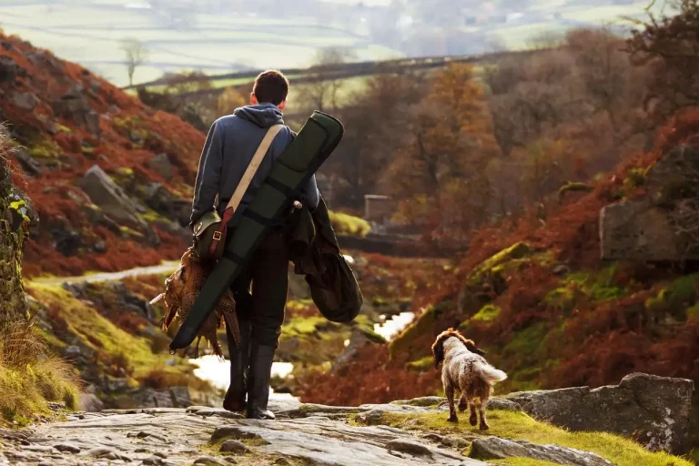 Archer compares a compound bow, rangefinder, arrows, and release aid on a truck tailgate