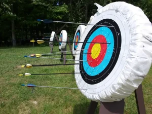 PVC vs Wood Target Stand DIY: Which Build Is Better?