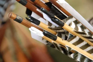 Best Arrow Tuning for Hunting Season (2026): research shows