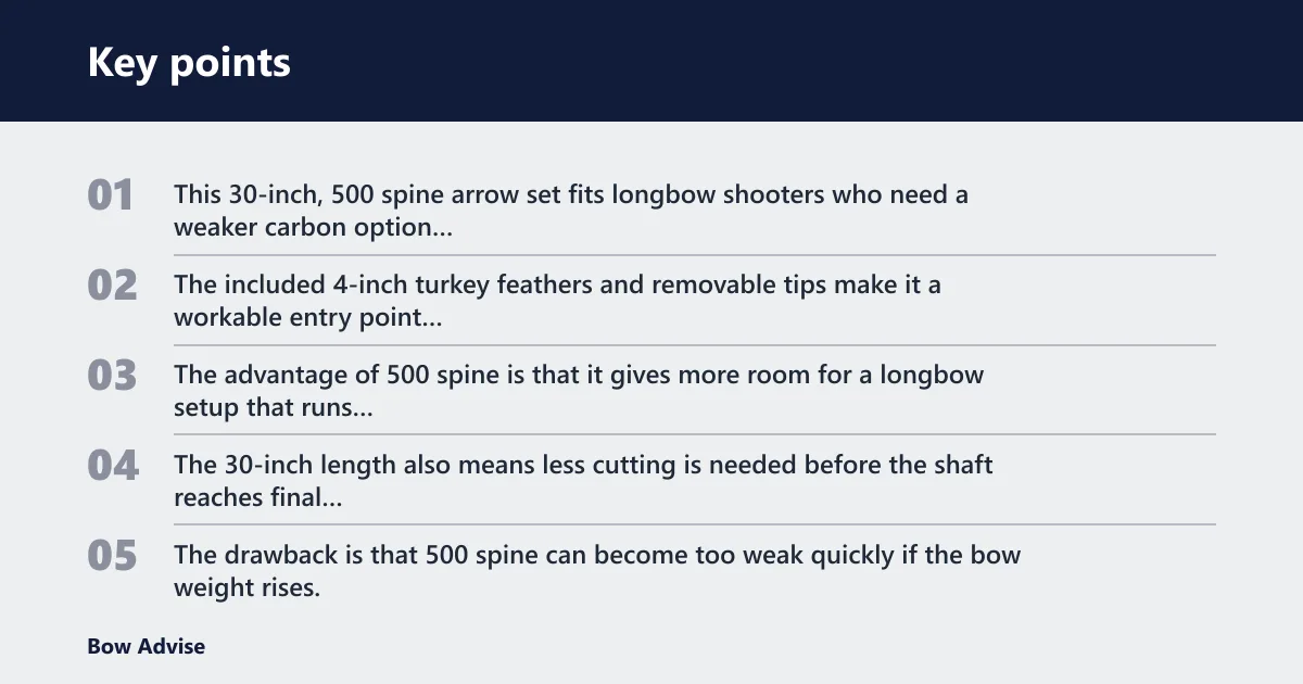 Key points: ZSHJGJR 500 spine arrows: best for lighter setups