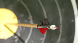 Best arrows for 3D archery (2026): we compared
