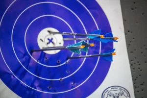 Best Arrows for Indoor Target Archery (2026): research shows