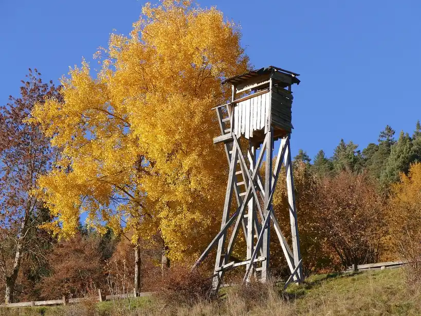 HME 3D deer stand: best for realistic setup control