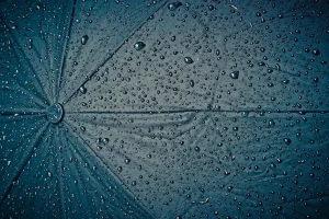 Best rainy day hunting gear for bowhunters: what to wear