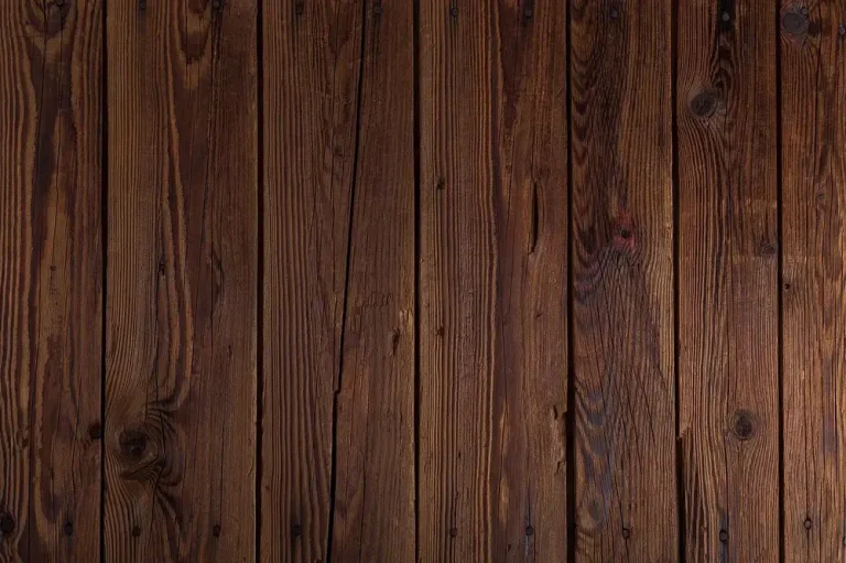 6 Best Woods for Native-Style Bows (2026): research shows