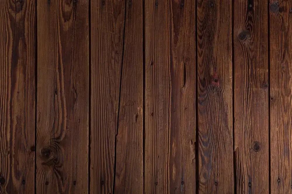 6 Best Woods for Native-Style Bows (2026): research shows