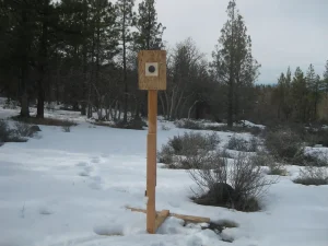 Cheap Target Stand DIY Ideas for Beginners on a Budget