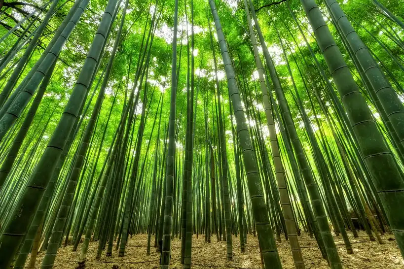How do horn, sinew, bamboo, and wood work together?
