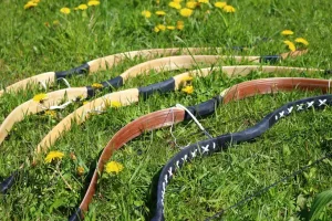 Compound Bow vs Longbow for Hunters: Which Is the Better Fit?