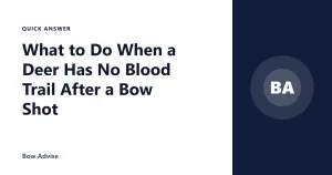 What to Do When a Deer Has No Blood Trail After a Bow Shot