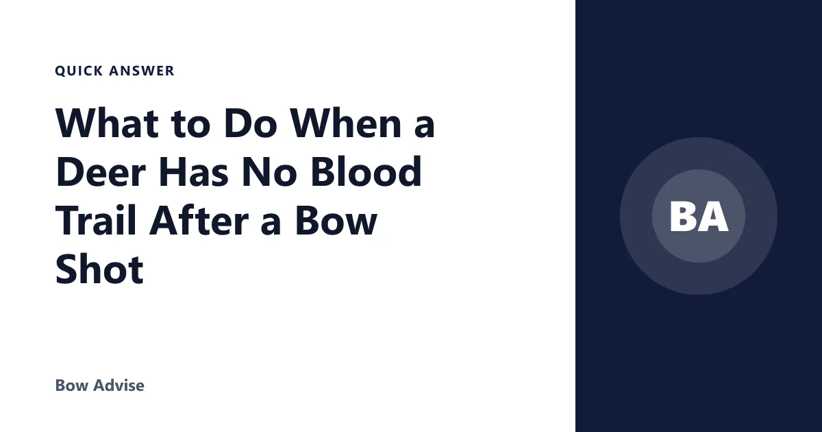 What to Do When a Deer Has No Blood Trail After a Bow Shot