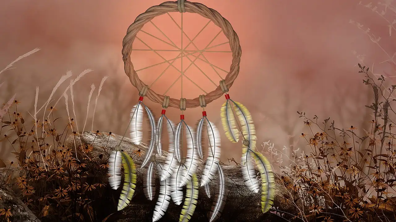 Why did feathers matter so much?