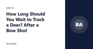 How Long Should You Wait to Track a Deer? After a Bow Shot