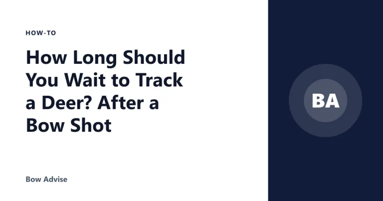 How Long Should You Wait to Track a Deer? After a Bow Shot