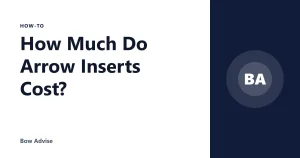How Much Do Arrow Inserts Cost?