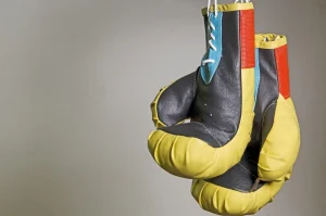 How to Compare Budget vs Premium Archery Gloves
