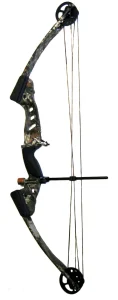 Hoyt Torrex Bow Review: Is It Worth Your Money Today?