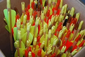 Pine Arrow Shafts Review: Are They Worth Buying Today?