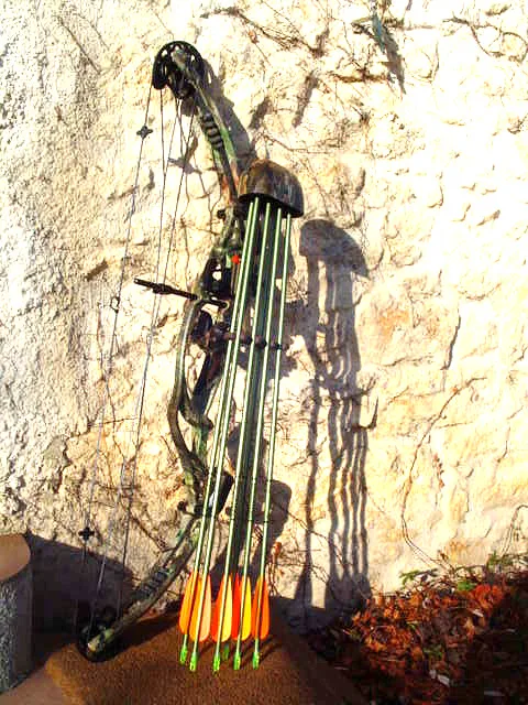 Bowhunter at dawn comparing a compound bow with a wrist release aid in a wooded blind