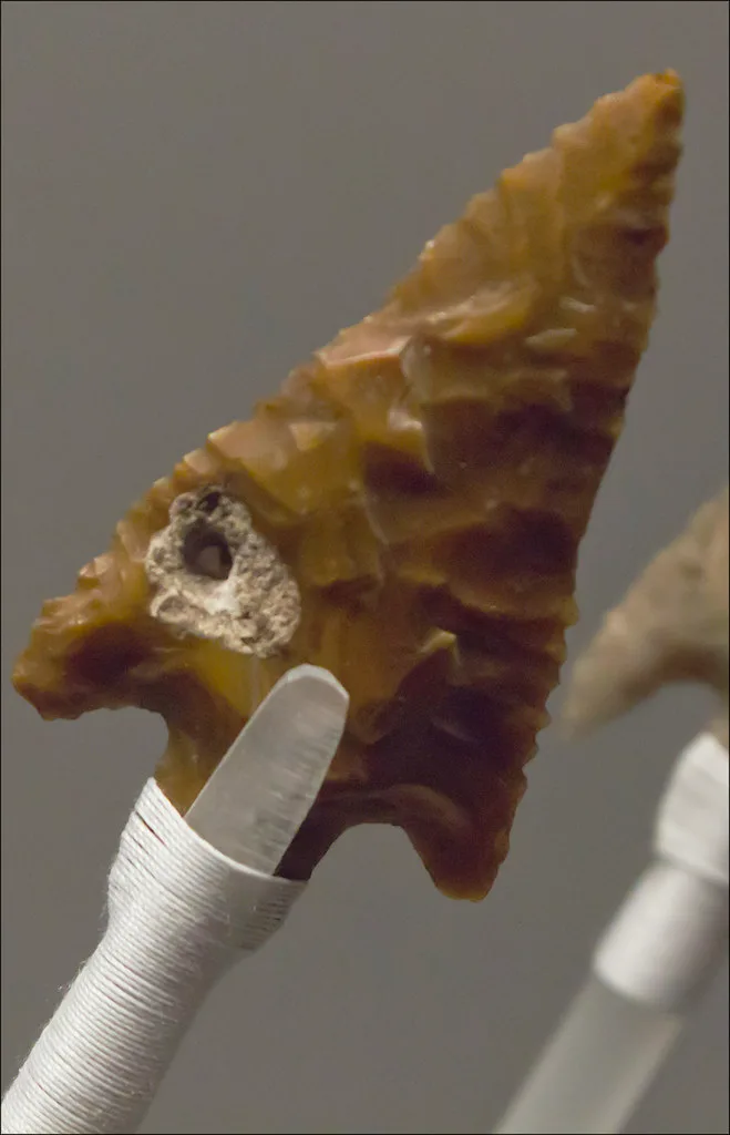 Close-up of a flaked stone arrowhead held beside a small hunting shaft in natural light