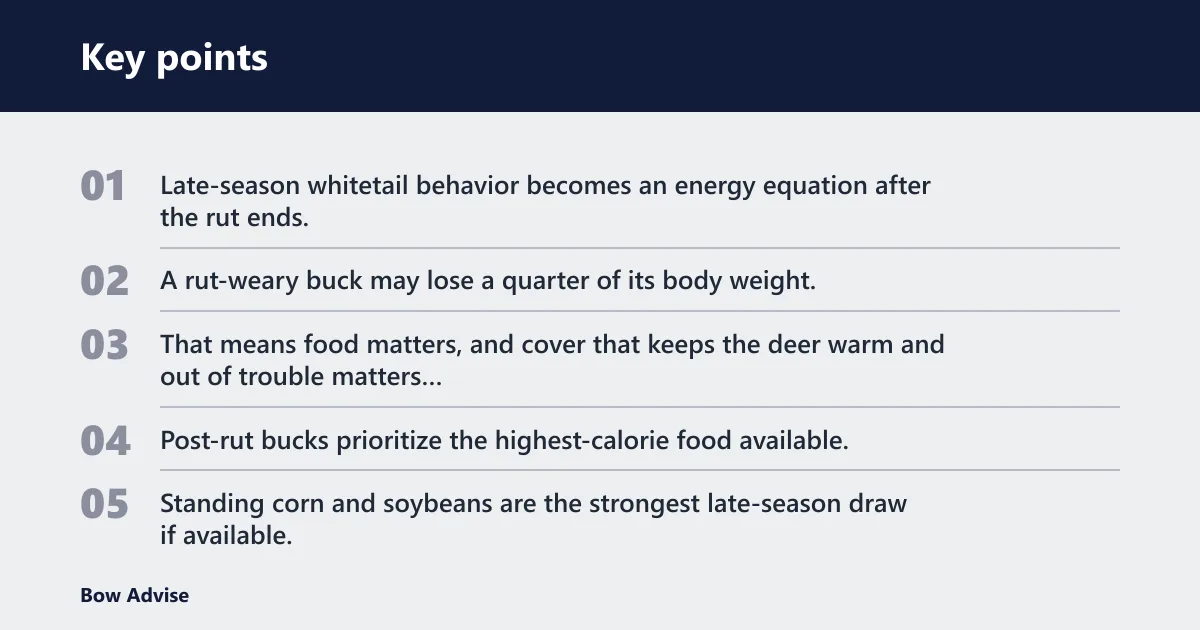 Key points: Why post-rut bucks move the way they do